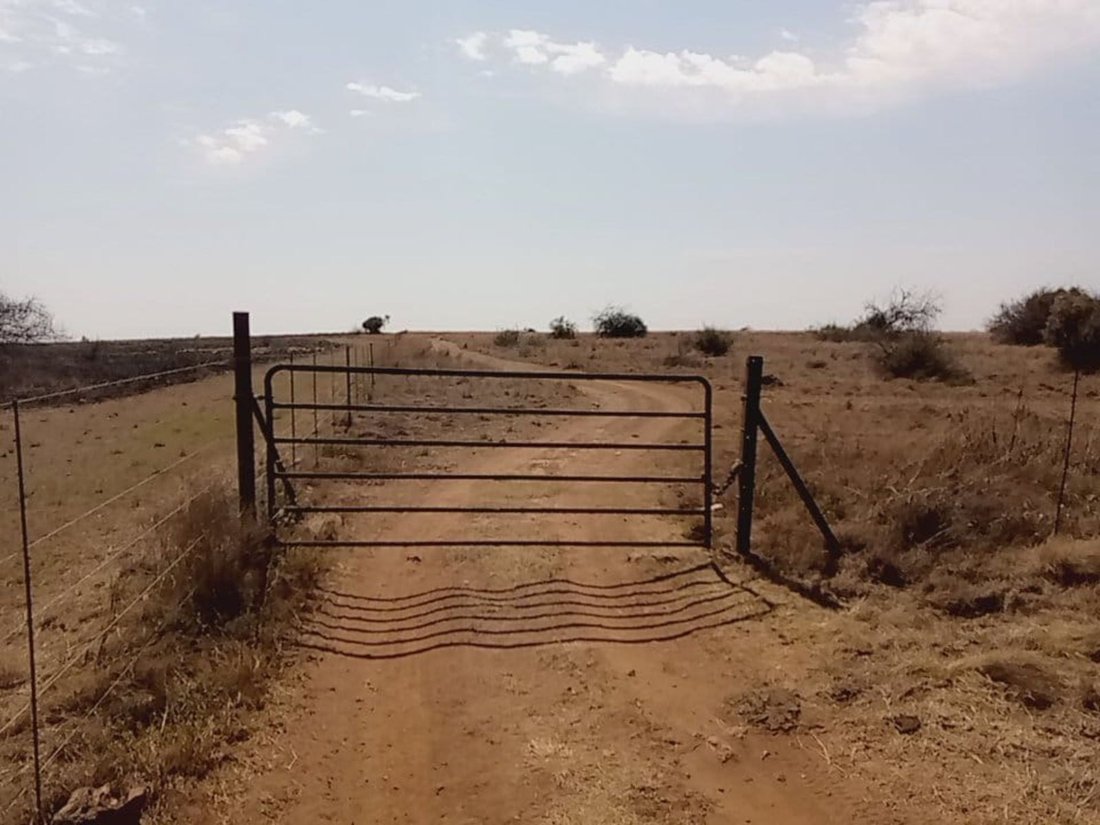 Farm Ranch in Braamfontein, Gauteng, South Africa 4 - 17252373