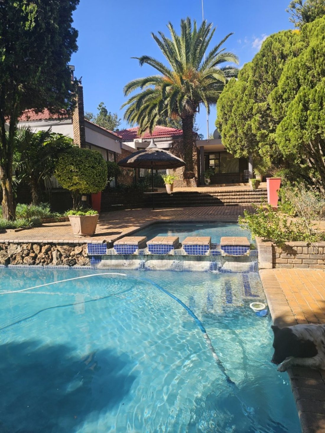 Maison à Rispark, Gauteng, Afrique du Sud 1 - 17252733