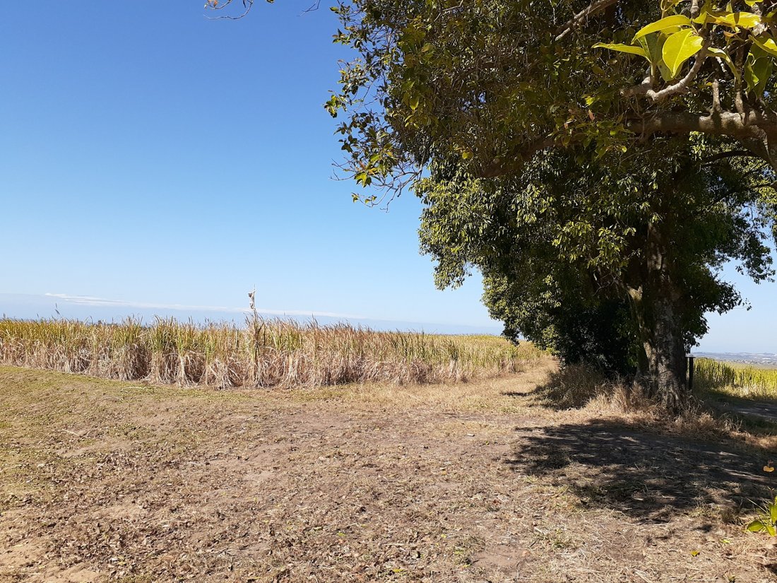 Rancho en Dolphin Coast, KwaZulu-Natal, Sudáfrica 2 - 17251787