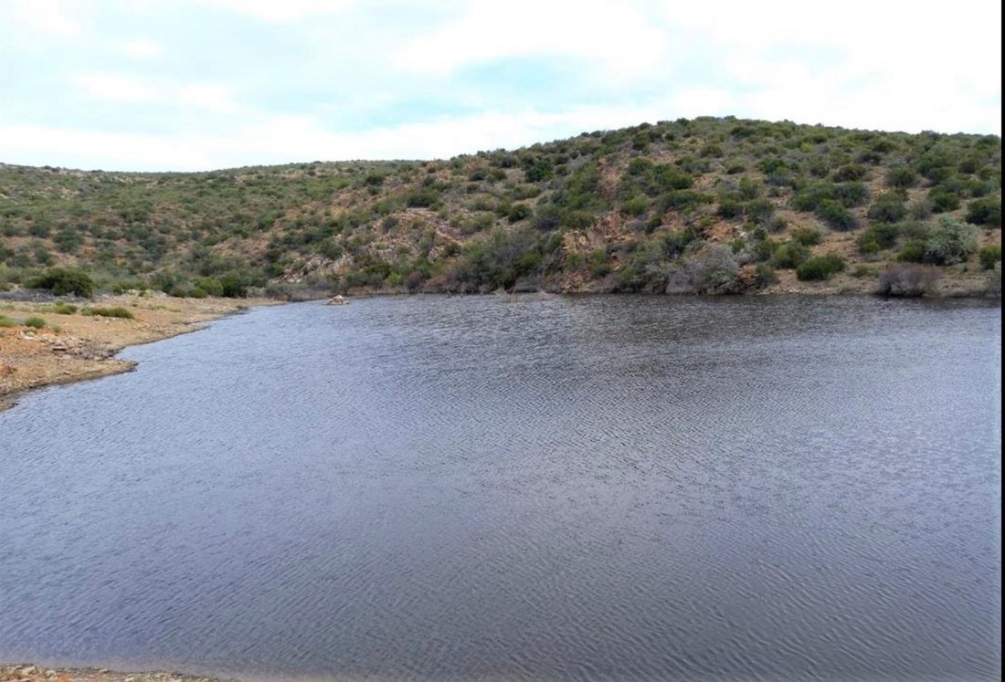 Farm Ranch in Uniondale, Western Cape, South Africa 4 - 17251300