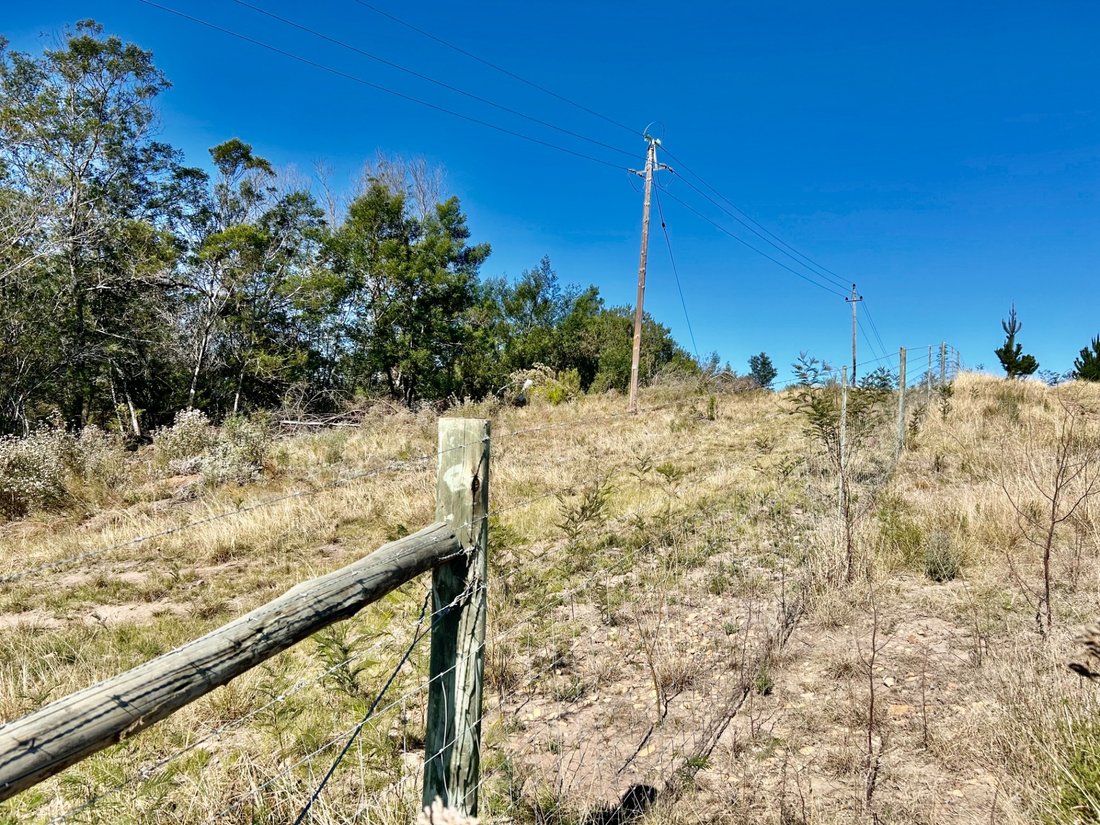 Farm Ranch in Wittedrift, Western Cape, South Africa 5 - 17253633