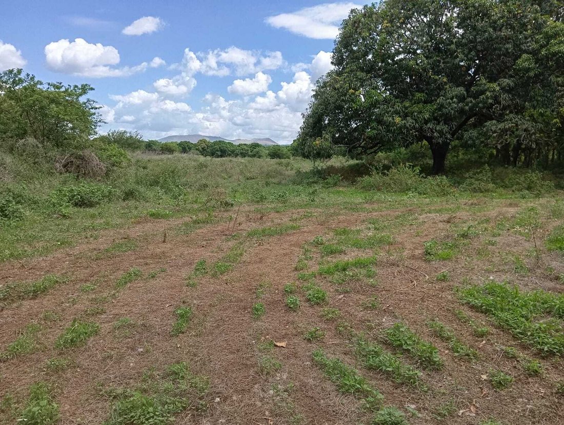 Farm Ranch in Montes de Oro, Masaya, Nicaragua 2 - 17250122