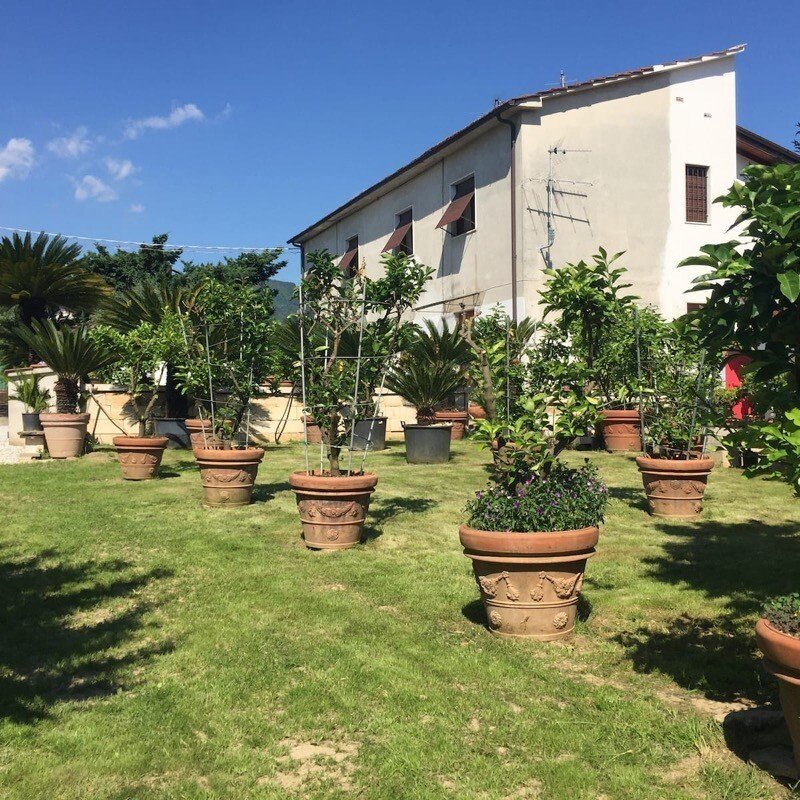 Country House in Center, Forte dei Marmi, Tuscany 2 - 17254201