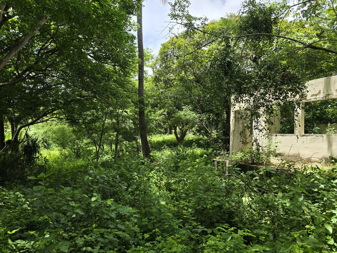 Land in Managua, Managua, Nicaragua 4 - 17249874
