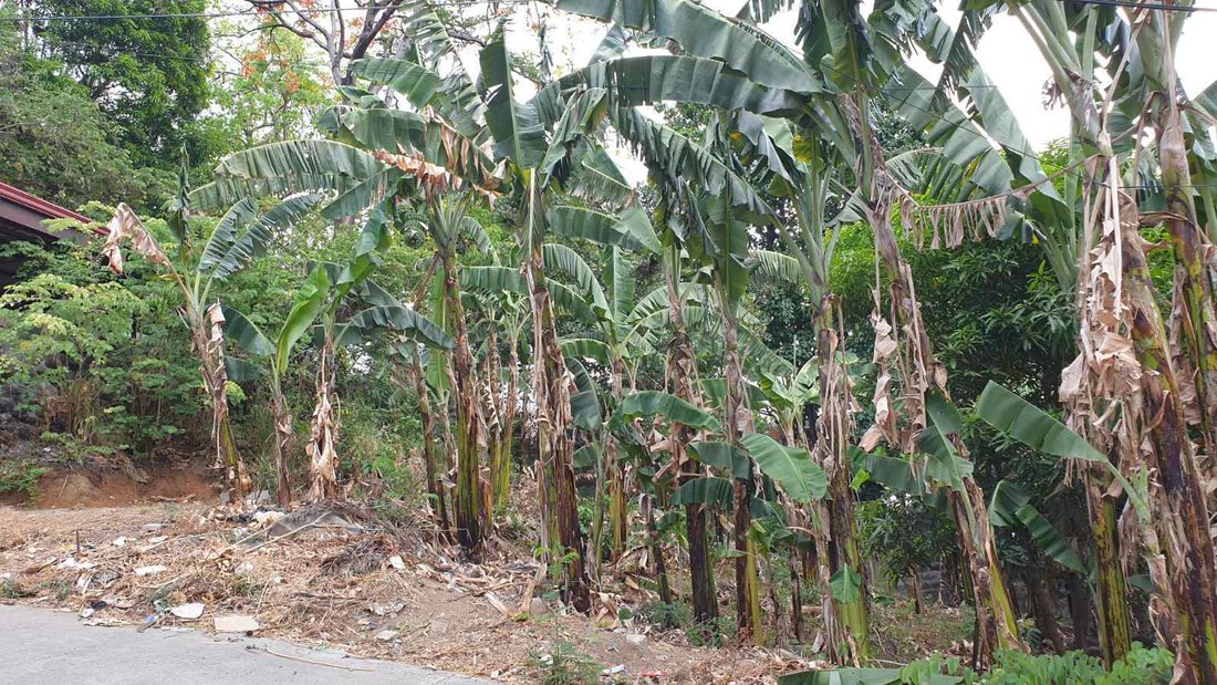 Land in Antipolo, Calabarzon, Philippines 2 - 17252152