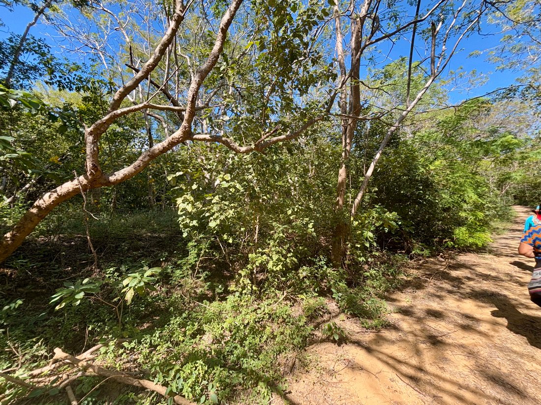 Land in El Astillero, Rivas, Nicaragua 2 - 17250650
