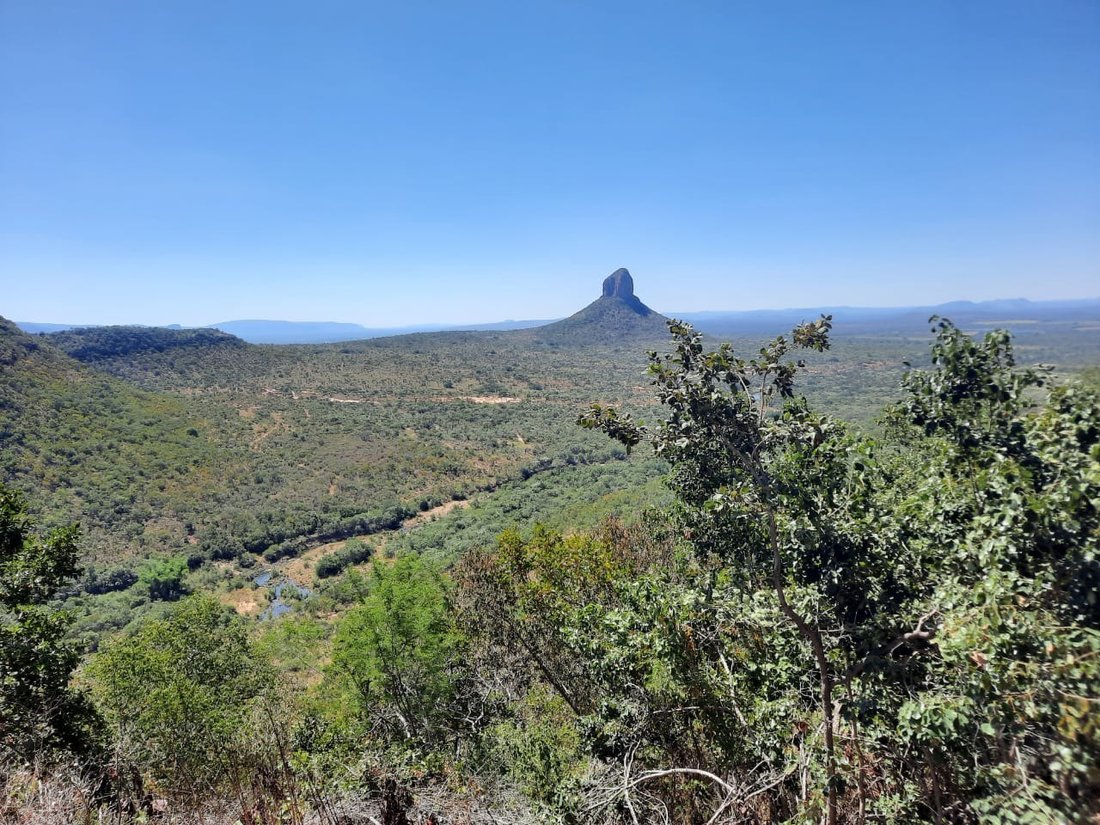 Farm Ranch in Mookgopong, Limpopo, South Africa 4 - 17252877