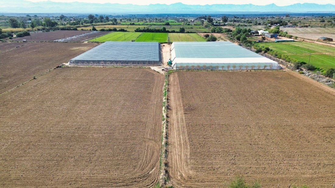 Farm Ranch in Oudtshoorn Local Municipality, Western Cape, South Africa 5 - 17252729