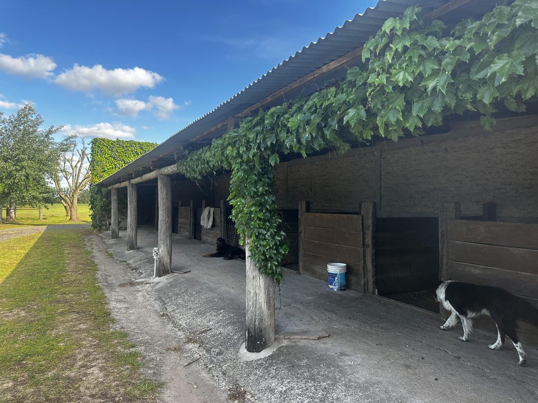 Farm Ranch in Torres, Buenos Aires Province, Argentina 3 - 17250798