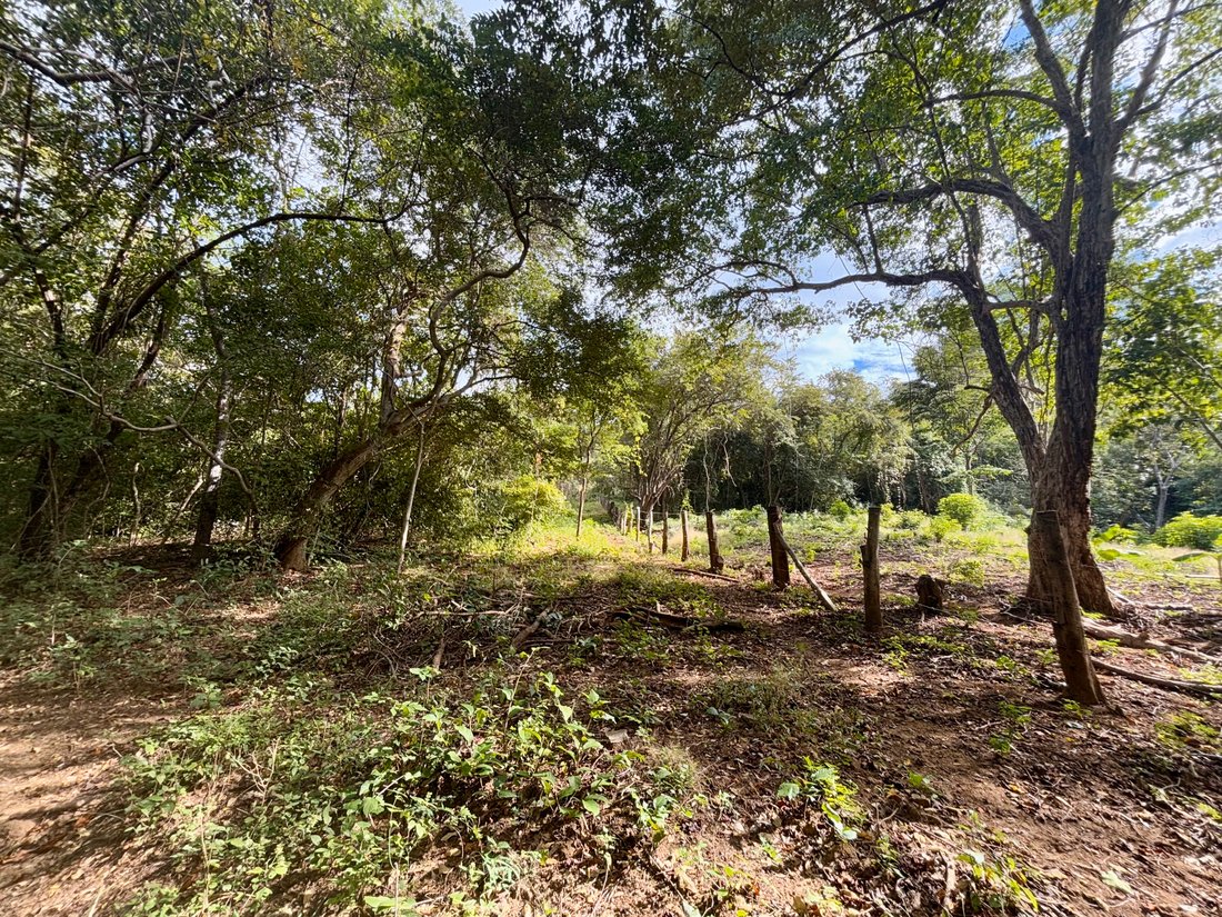 Land in Tola, Rivas, Nicaragua 4 - 17250417