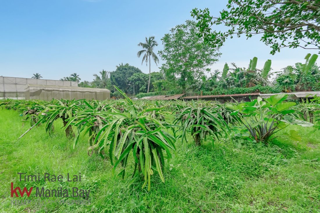Farm Ranch in Alfonso, Calabarzon, Philippines 4 - 17252692