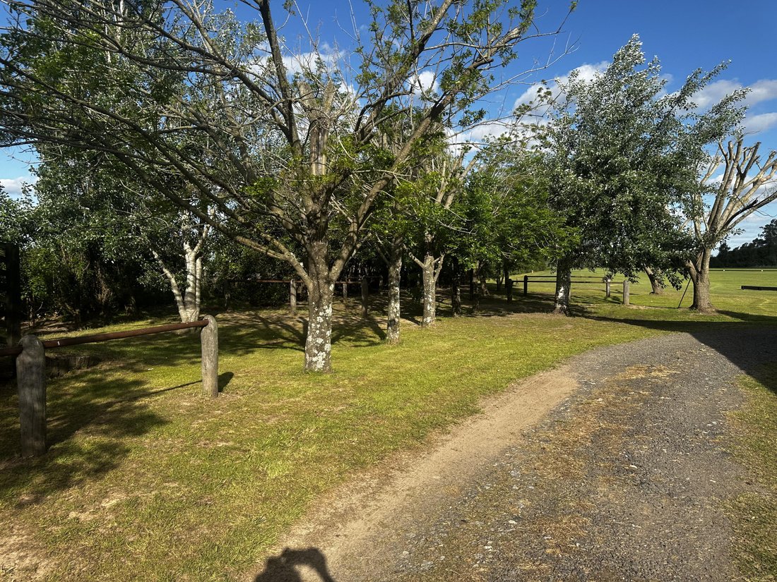 Farm Ranch in Torres, Buenos Aires Province, Argentina 1 - 17250798