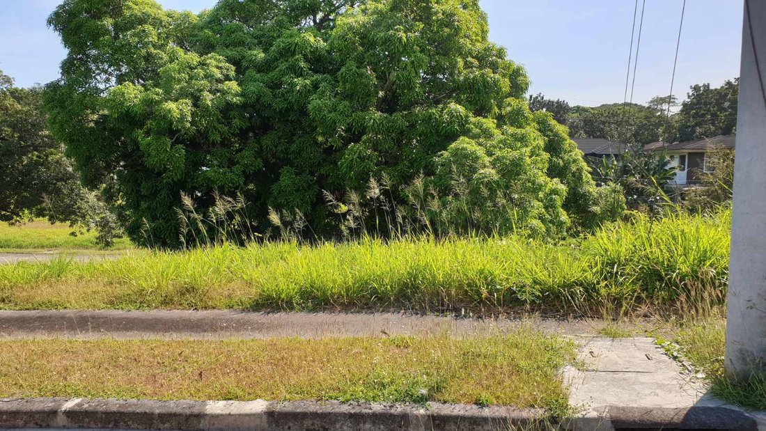 Land in Muntinlupa, Metro Manila, Philippines 2 - 17252151