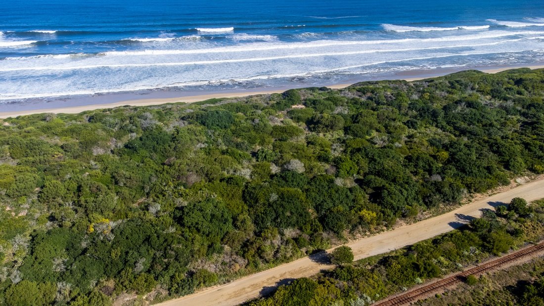 Farm Ranch in Johannesburg, Gauteng, South Africa 4 - 17253391