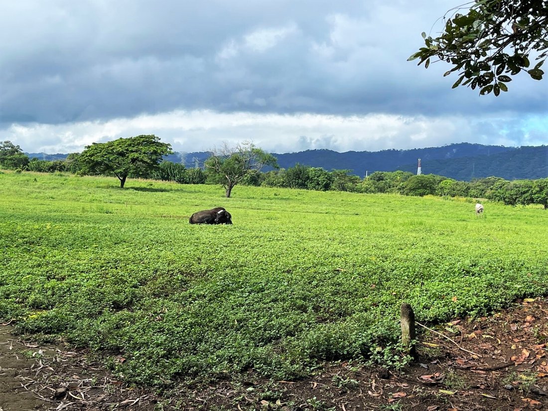Land in Valentín Barrios, Managua, Nicaragua 2 - 17249040