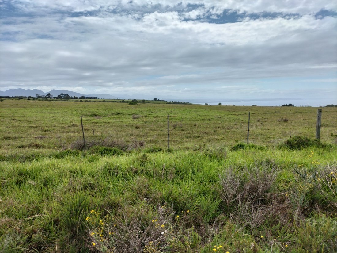 Farm Ranch in Groot Brakrivier, Western Cape, South Africa 2 - 17253323