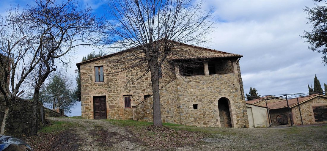 Montalcino, Tuscany, Italy 1 - 17255907
