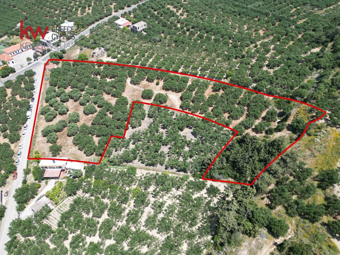 Land in Kissamos, Greece 3 - 17249862