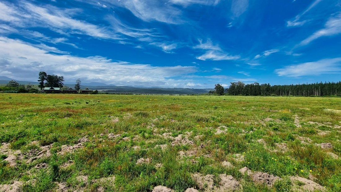 Farm Ranch in Johannesburg, Gauteng, South Africa 4 - 17253654