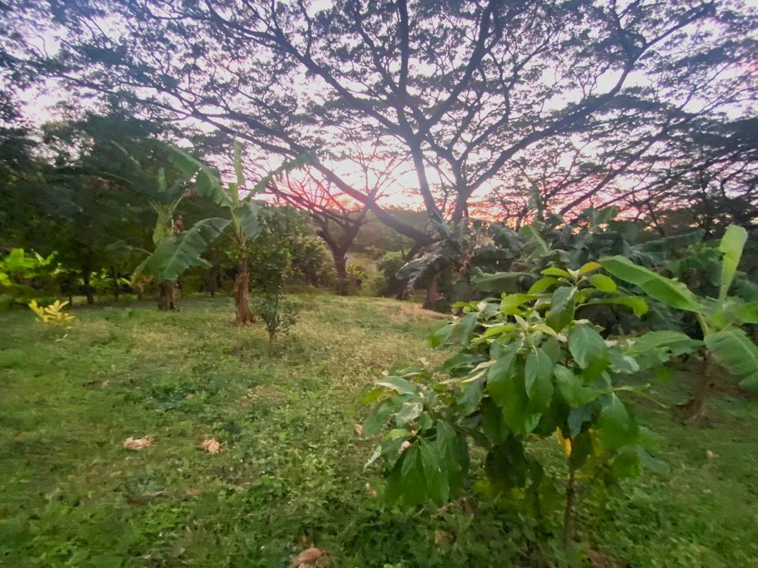 Land in Managua, Managua, Nicaragua 1 - 17250449