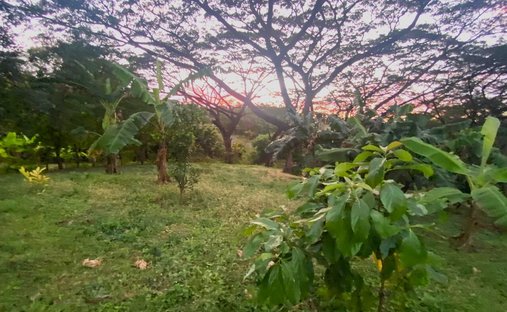 Land in Managua, Departamento Managua, Nicaragua 1