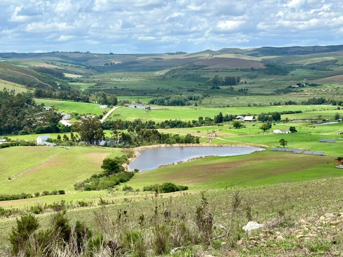 Farm Ranch in Johannesburg, Gauteng, South Africa 1 - 17249500