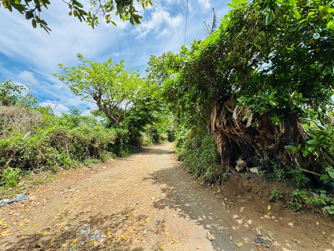 Land in Valentín Barrios, Managua, Nicaragua 2 - 17250045