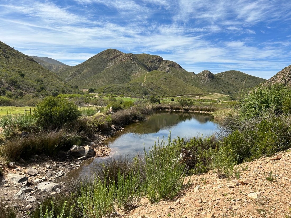 Farm Ranch in Johannesburg, Gauteng, South Africa 3 - 17250548