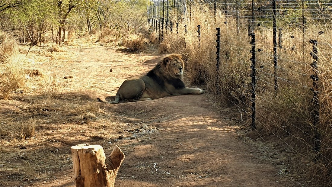 Farm Ranch in Lephalale, Limpopo, South Africa 5 - 17253688