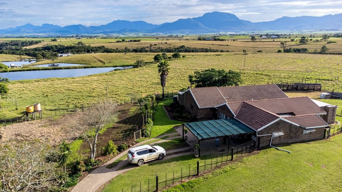 Farm Ranch in Johannesburg, Gauteng, South Africa 4 - 17251011