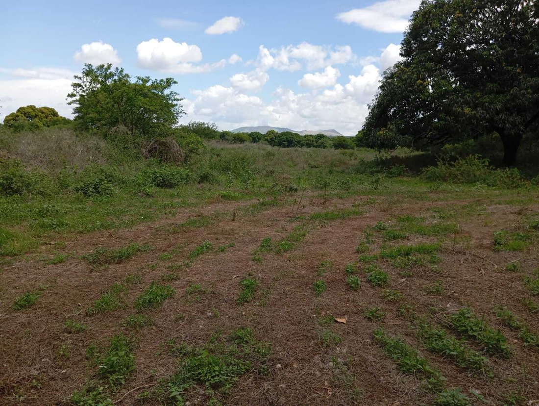 Farm Ranch in Montes de Oro, Masaya, Nicaragua 4 - 17250122