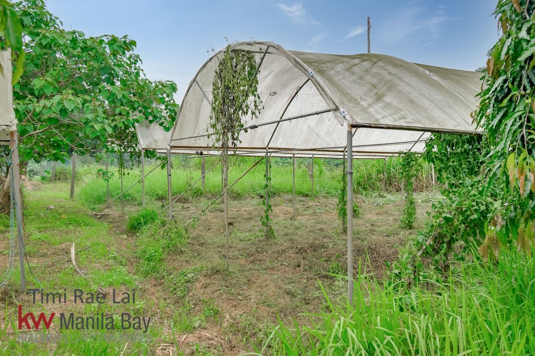 Farm Ranch in Alfonso, Calabarzon, Philippines 3 - 17252692