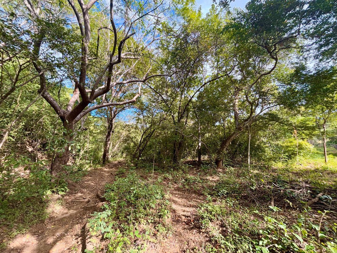 Land in Tola, Rivas, Nicaragua 3 - 17250417