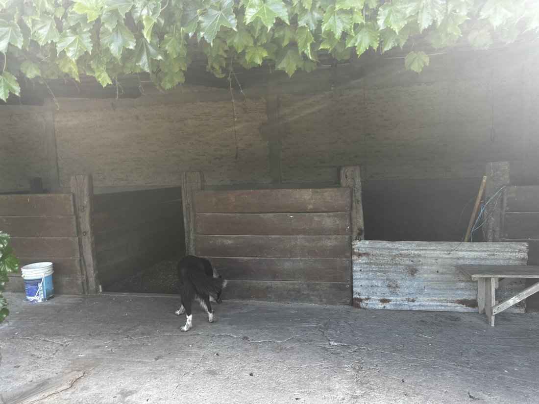 Farm Ranch in Torres, Buenos Aires Province, Argentina 4 - 17250798