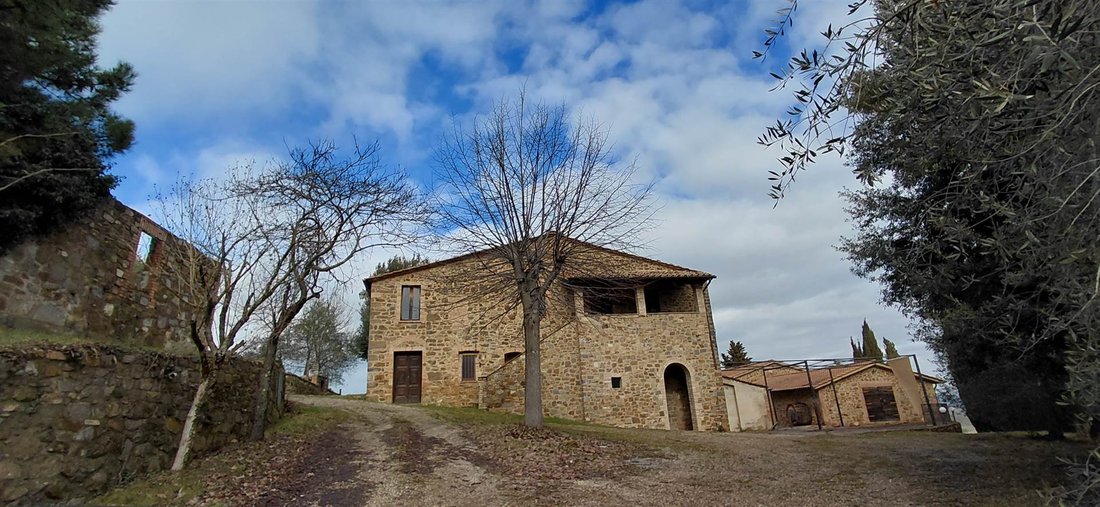 Montalcino, Tuscany, Italy 2 - 17255907