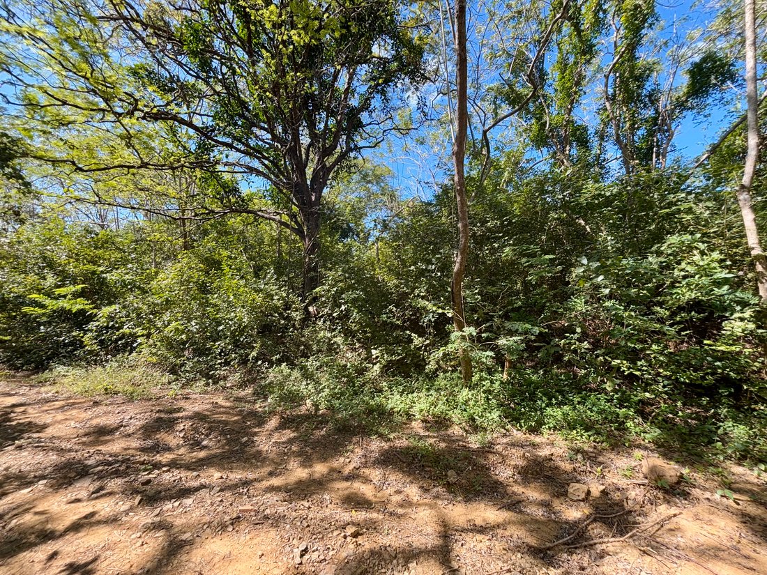 Land in El Astillero, Rivas, Nicaragua 1 - 17250586