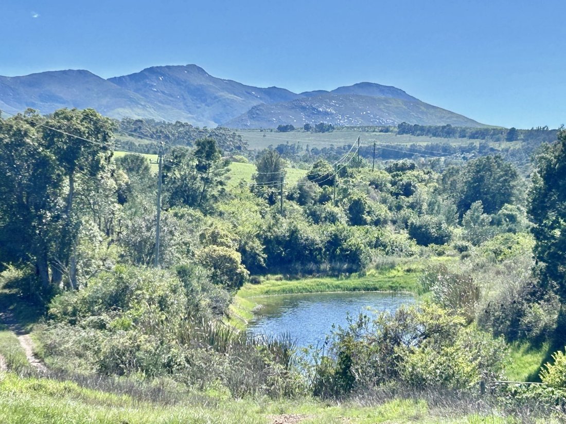 Farm Ranch in Johannesburg, Gauteng, South Africa 3 - 17252307