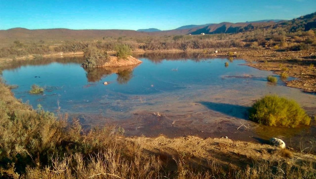 Farm Ranch in Johannesburg, Gauteng, South Africa 3 - 17249101