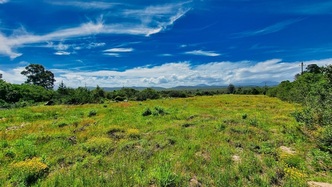 Farm Ranch in Johannesburg, Gauteng, South Africa 2 - 17251152