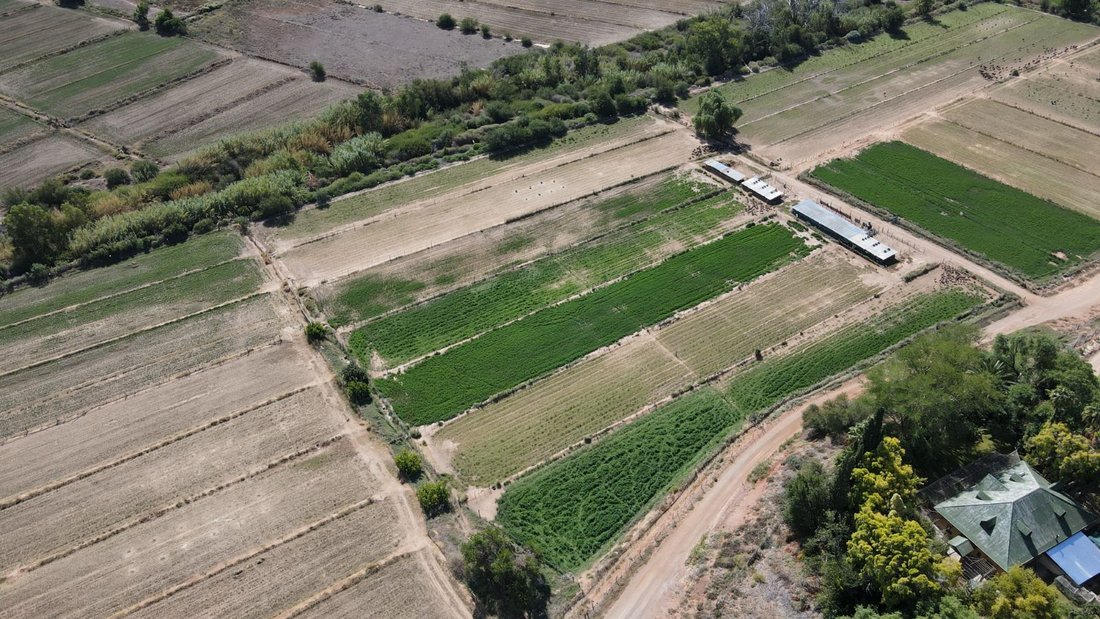 Farm Ranch in Oudtshoorn Local Municipality, Western Cape, South Africa 2 - 17252729
