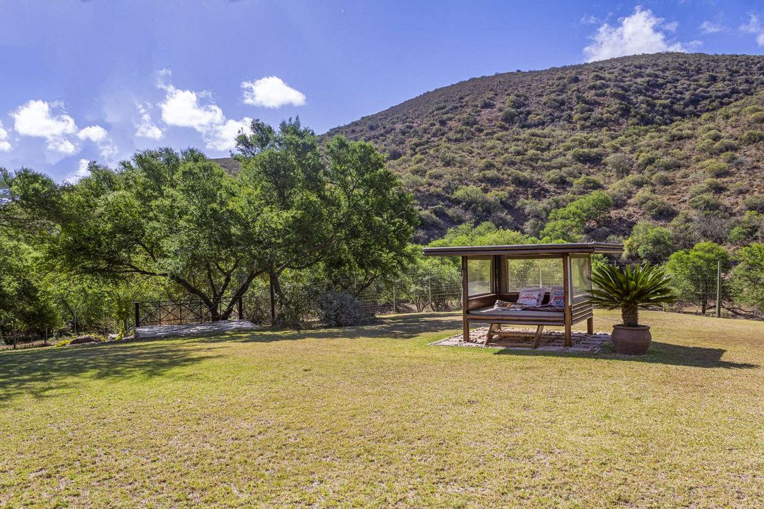 Farm Ranch in Johannesburg, Gauteng, South Africa 5 - 17253360
