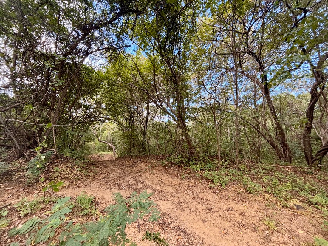 Land in Tola, Rivas, Nicaragua 1 - 17249228
