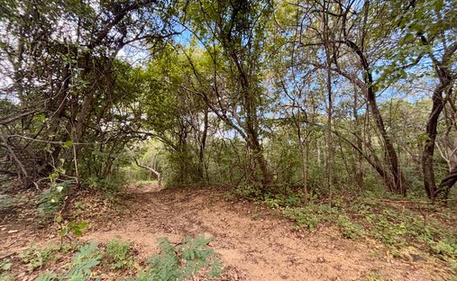 Land in Tola, Rivas, Nicaragua 1