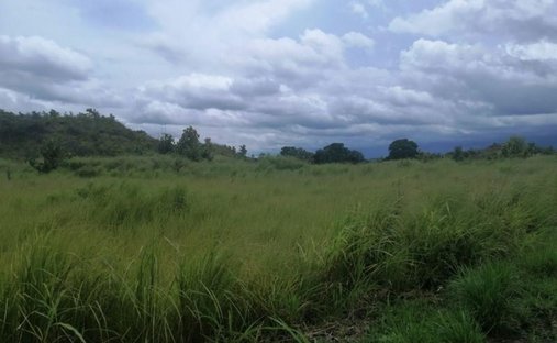 Terrain à La Puente, Veraguas, Panama 1
