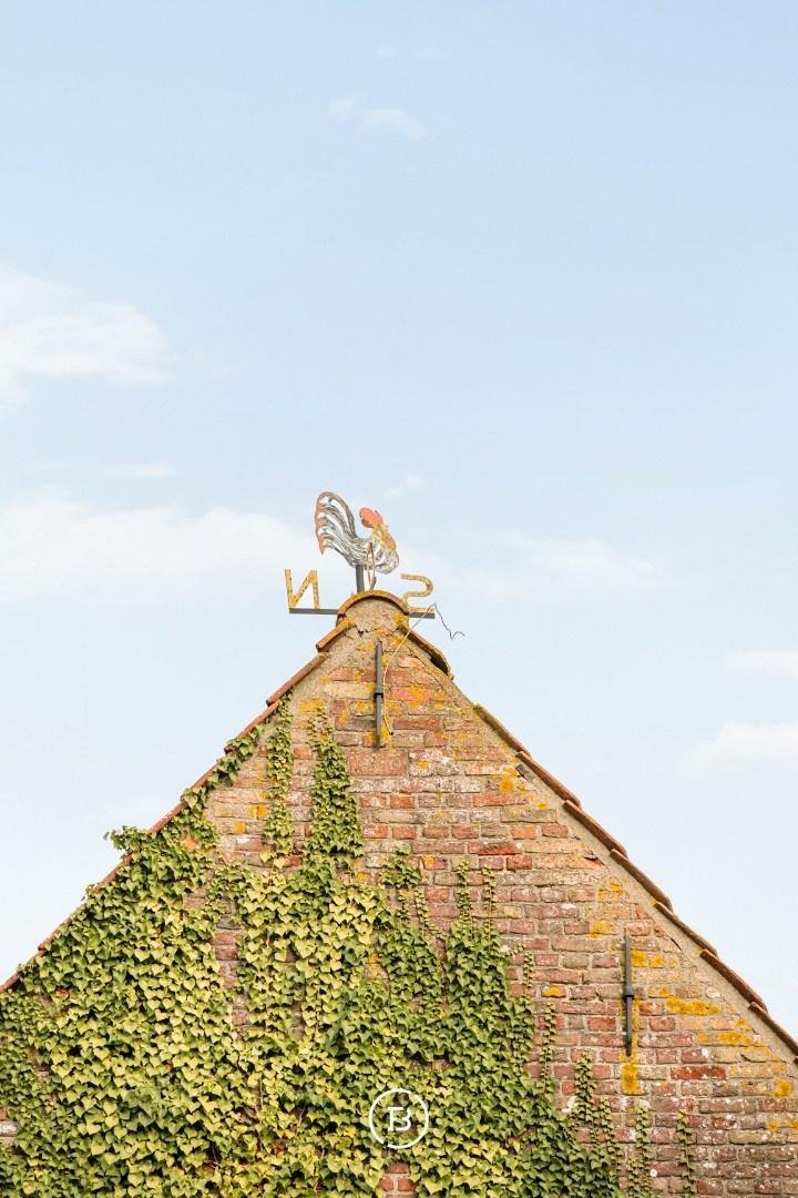 House in Damme, Flanders, Belgium 3 - 17254105