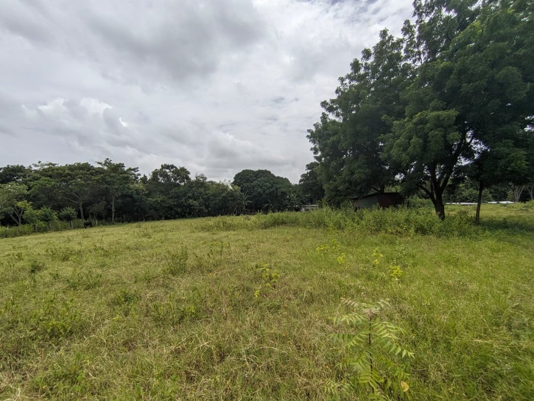 Land in Leonel Reynosa, Managua, Nicaragua 3 - 17249553