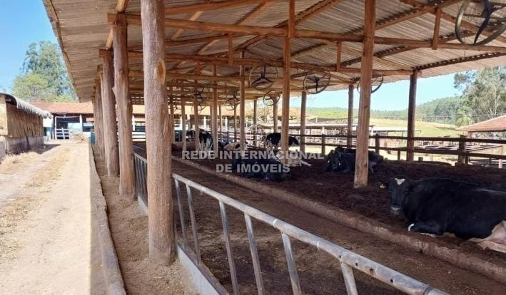 Farm Ranch in Ronco, State of Paraná, Brazil 5 - 17257732
