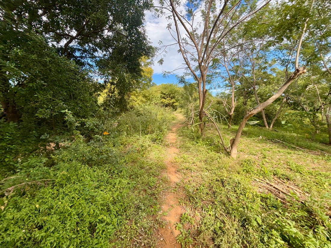 Land in Tola, Rivas, Nicaragua 5 - 17249228