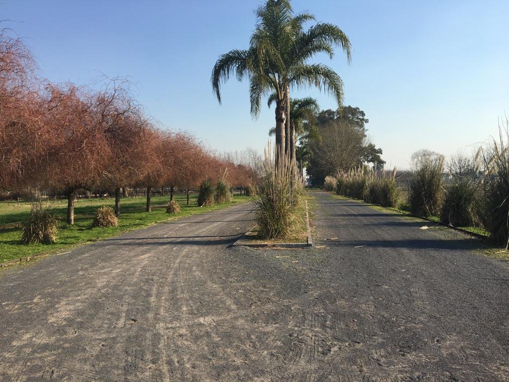 Farm Ranch in General Rodríguez, Buenos Aires Province, Argentina 4 - 17251174