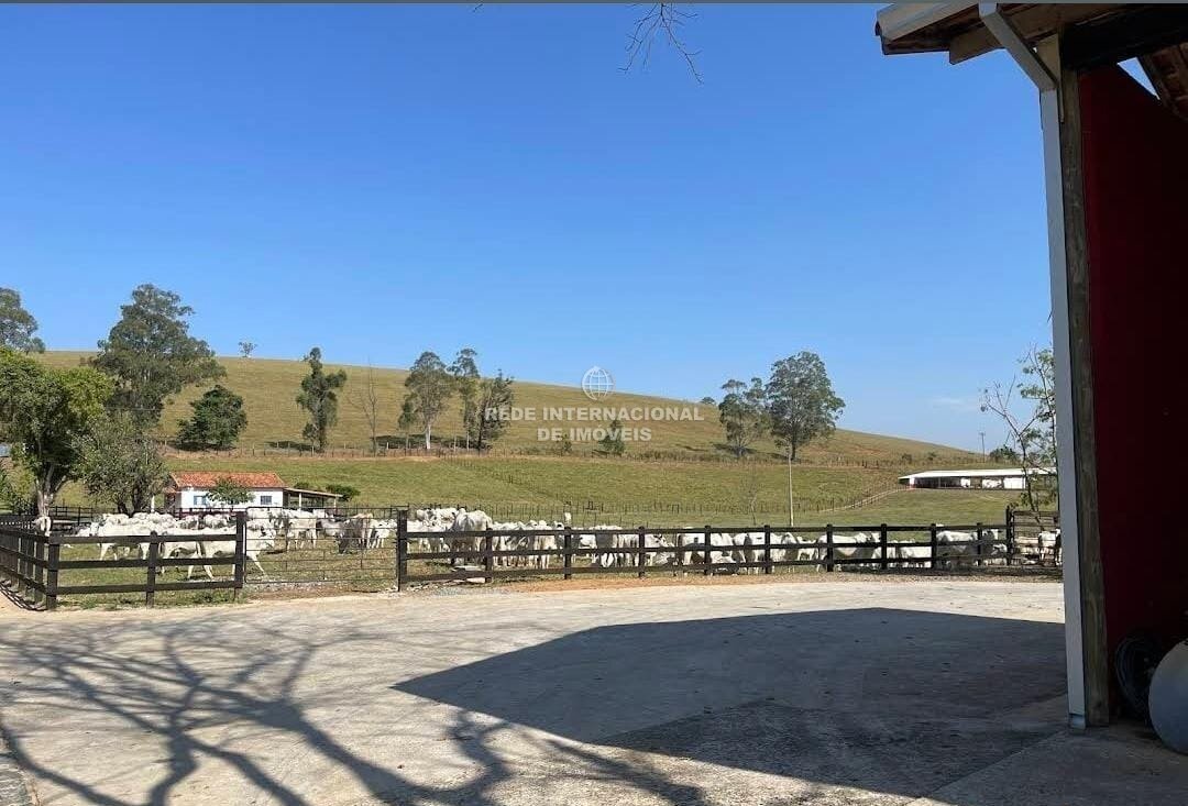 Farm Ranch in Ronco, State of Paraná, Brazil 4 - 17257732